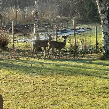 Idyllic Close To & Amazing Nature Vejby
