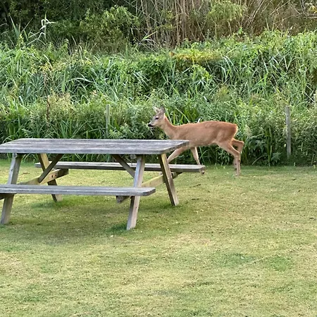 Idyllic Close To & Amazing Nature Nyaraló